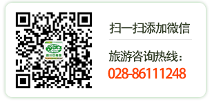 中国青年旅行社微信号